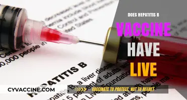 Is Hepatitis B Vaccine Live or Inactivated? Key Facts Explained