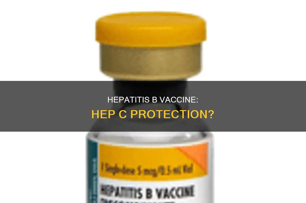 does hepatitis b vaccine help prevent hepatitis c