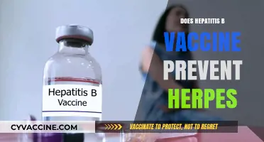 Hepatitis B Vaccine and Herpes: Understanding the Protection Limits