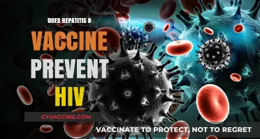 Hepatitis B Vaccine and HIV: Understanding Its Protective Role