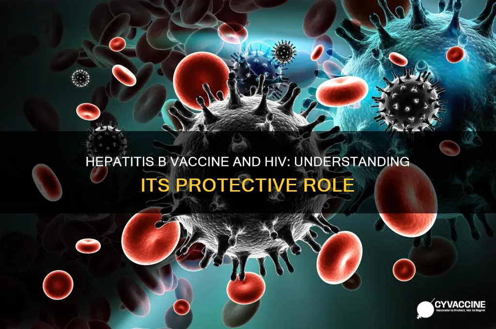 does hepatitis b vaccine prevent hiv