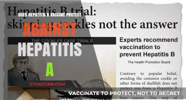 Hepatitis Vaccines: Understanding Their Unique Protection