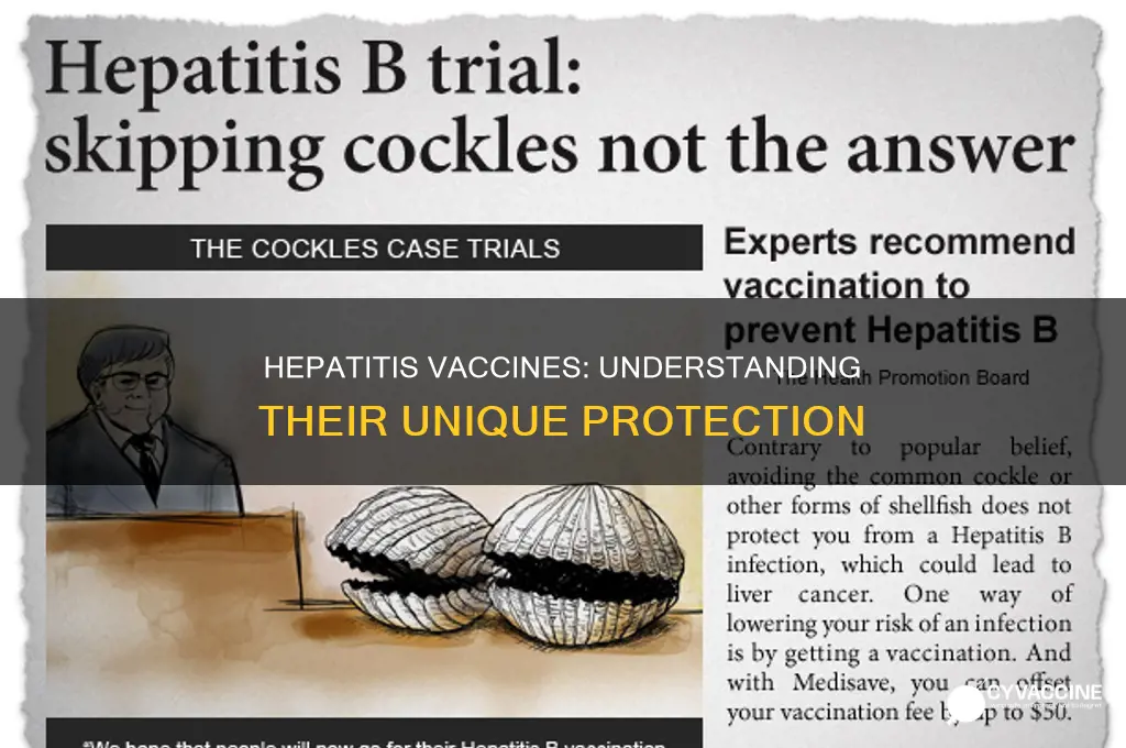 does hepatitis b vaccine protect against hepatitis a