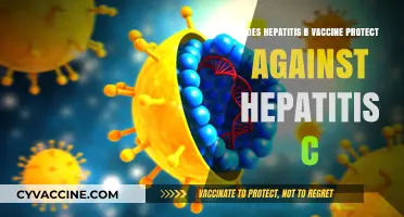 Hepatitis B Vaccine: Effective Defense Against Hepatitis C?