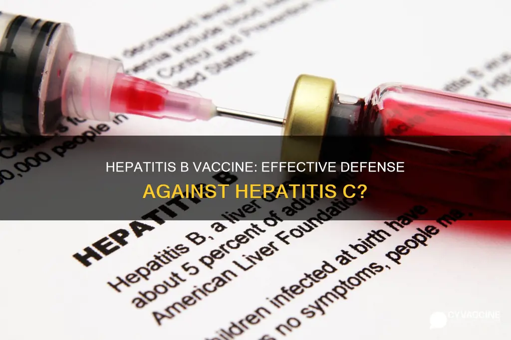 does hepatitis b vaccine protect against hepatitis c