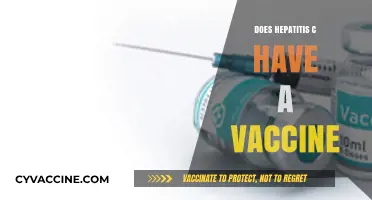 Hepatitis C Vaccine: Current Status and Prevention Strategies Explained