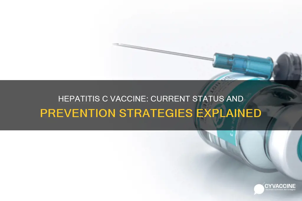 does hepatitis c have a vaccine
