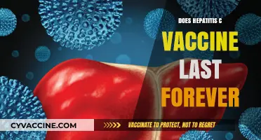 Hepatitis C Vaccine Longevity: Does Protection Last a Lifetime?