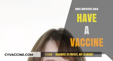Hepatitis C Vaccine: Current Status and Prevention Strategies Explained