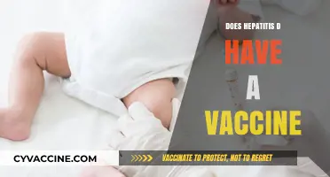 Hepatitis D Vaccine: Current Status and Prevention Strategies Explained