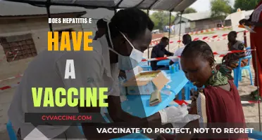 Hepatitis E Vaccine: Availability, Efficacy, and Global Health Impact