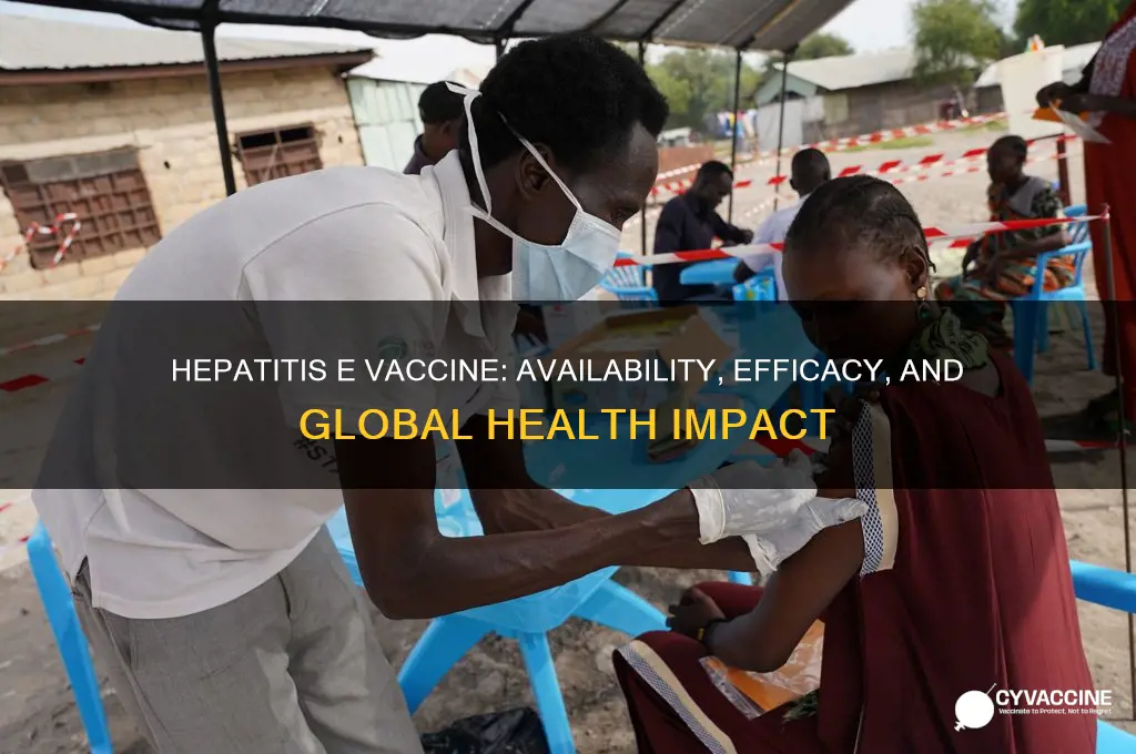 does hepatitis e have a vaccine