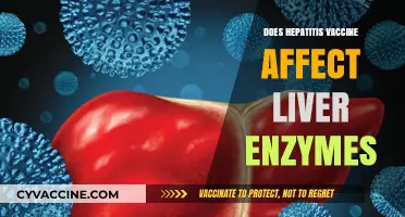 Hepatitis Vaccine and Liver Enzymes: Unraveling the Connection