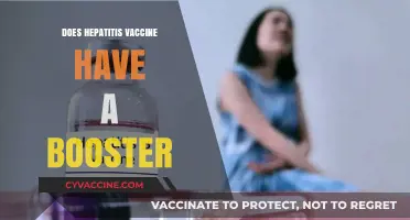 Hepatitis Vaccine Booster: Do You Need One and When?