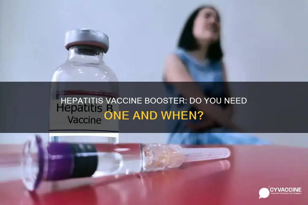 does hepatitis vaccine have a booster