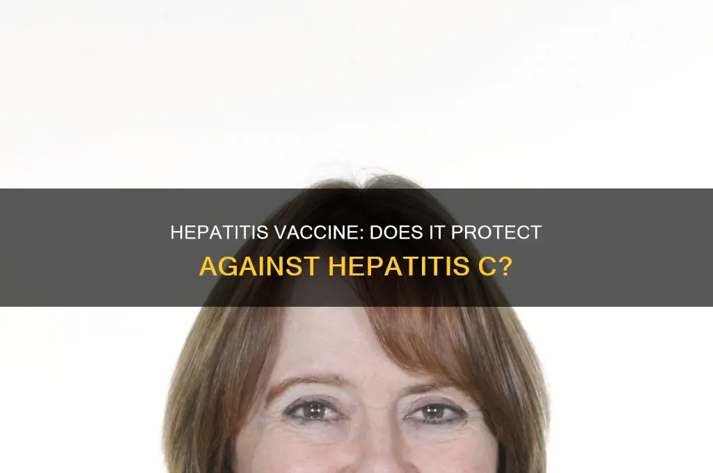does hepatitis vaccine prevent hepatitis c