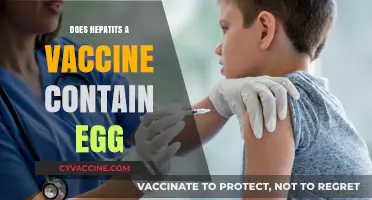 Hepatitis A Vaccine and Egg Allergies: What You Need to Know
