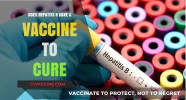 Hepatitis B Vaccine: Effective Cure or Not?