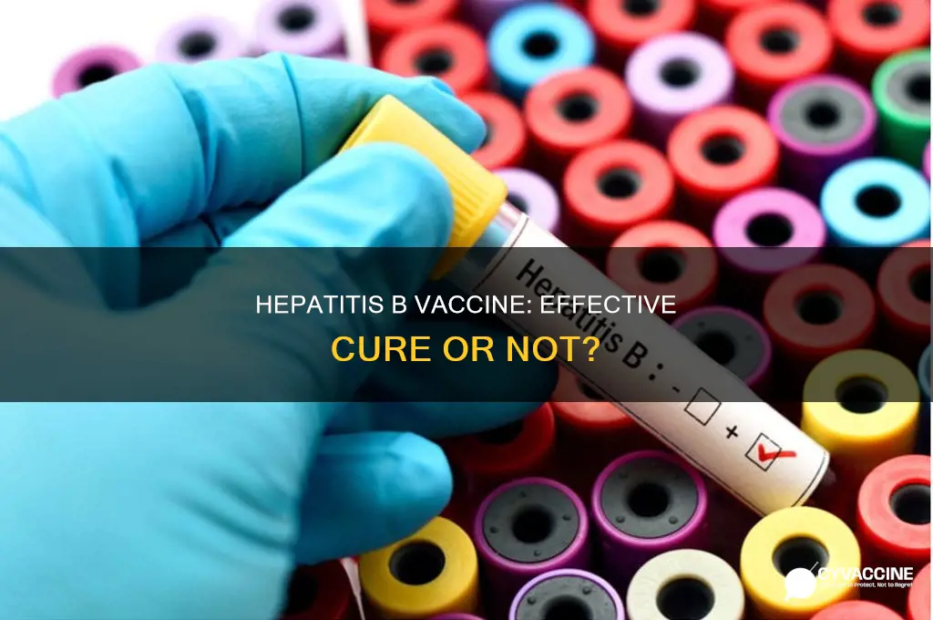 does hepatits b have a vaccine to cure