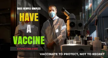Herpes Simplex Vaccine: Current Research and Future Possibilities Explored