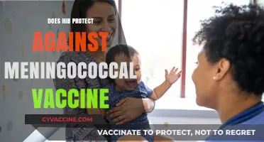 Hib Vaccine: Does It Offer Protection Against Meningococcal Disease?