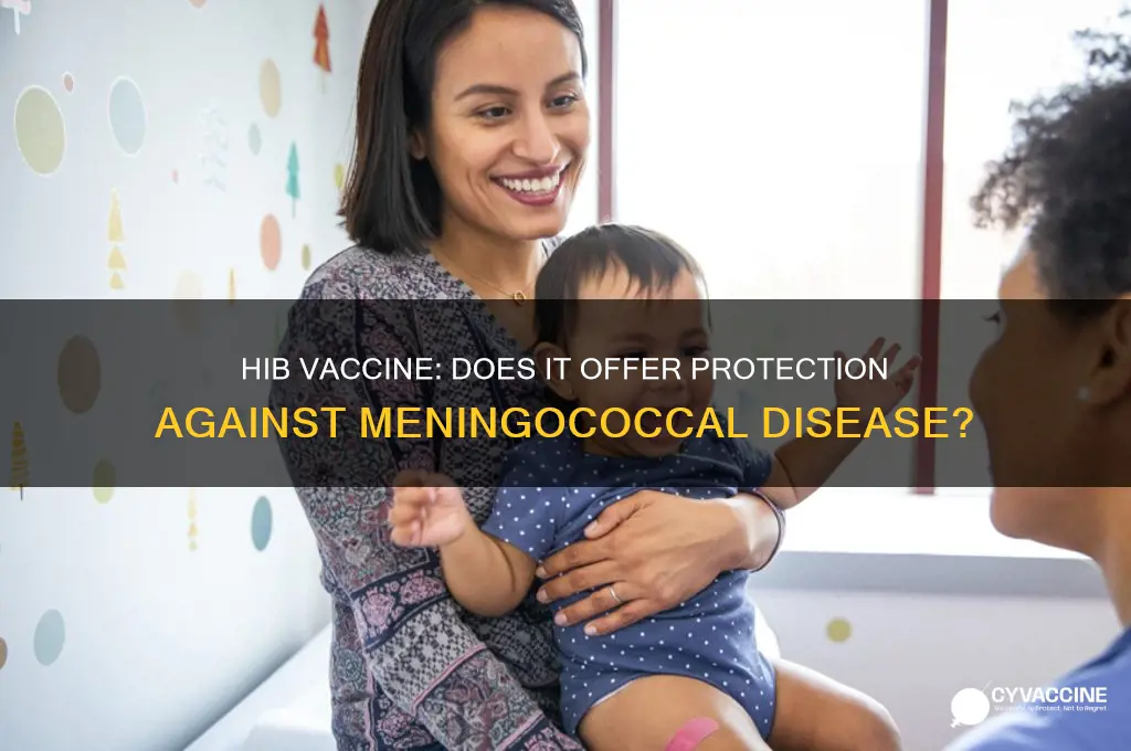 does hib protect against meningococcal vaccine