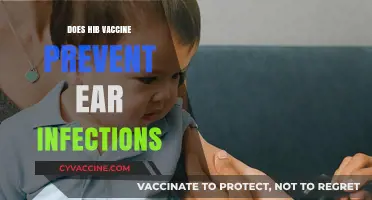 Hib Vaccine and Ear Infections: Does It Offer Protection?