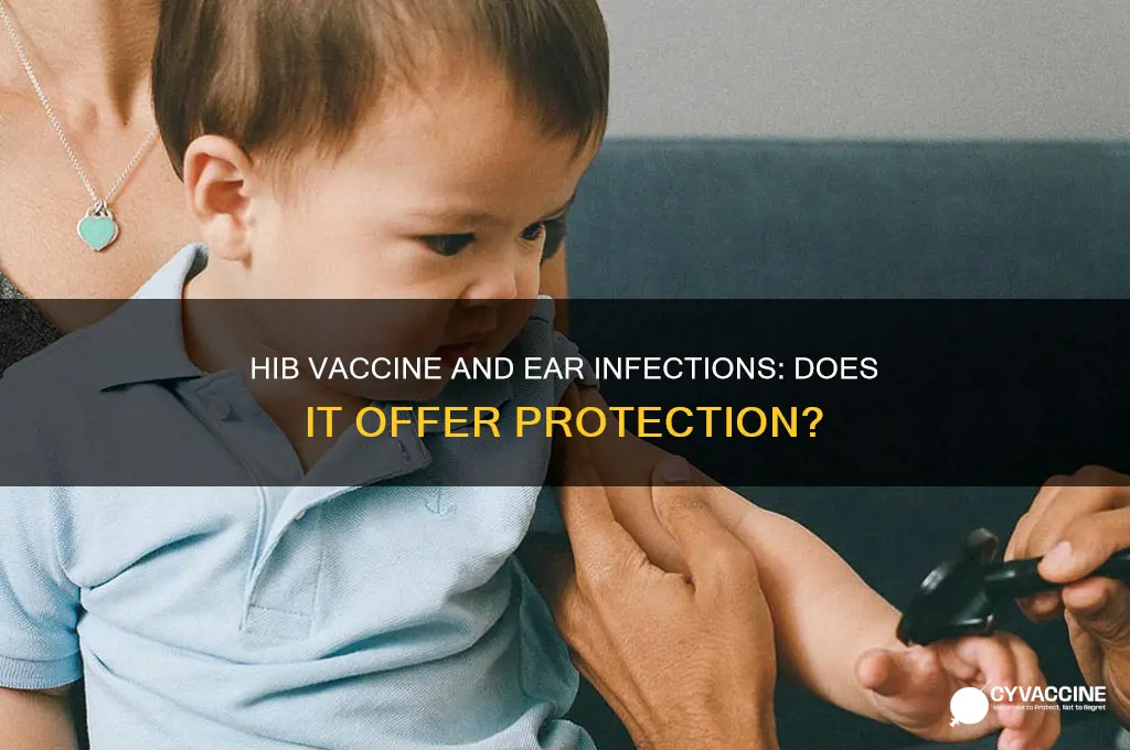 does hib vaccine prevent ear infections