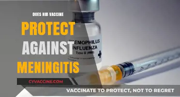 Hib Vaccine: Effective Shield Against Meningitis or Limited Protection?