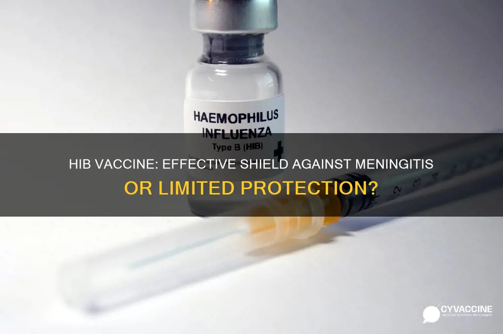 does hib vaccine protect against meningitis