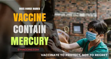 Horse Rabies Vaccine: Mercury Content and Safety Concerns Explained