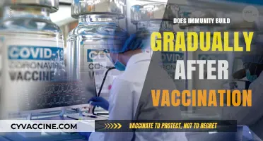 How Vaccines Gradually Strengthen Your Immune System Over Time
