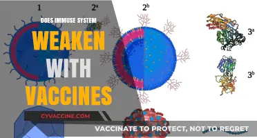 Do Vaccines Weaken Immunity? Debunking Myths About Immune System Impact