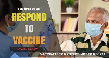 Indian COVID-19 Variant: Vaccine Efficacy and Protection Explained