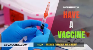 Influenza A Vaccine: Availability, Effectiveness, and Protection Explained