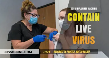 Does the Influenza Vaccine Contain Live Virus? Facts Revealed
