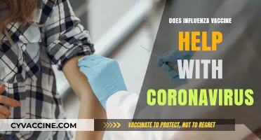 Influenza Vaccine and COVID-19: Unraveling the Protective Connection