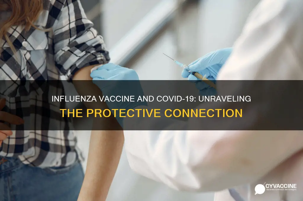 does influenza vaccine help with coronavirus