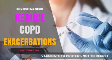 Influenza Vaccine's Impact on Reducing COPD Exacerbations: What's Known