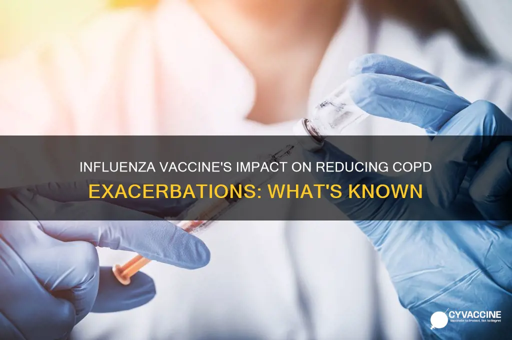 does influenza vaccine reduce copd exacerbations