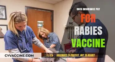 Does Insurance Cover Rabies Vaccines? Costs and Coverage Explained