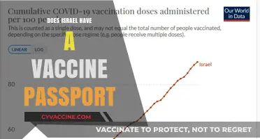 Israel's Vaccine Passport System: How It Works and Its Impact