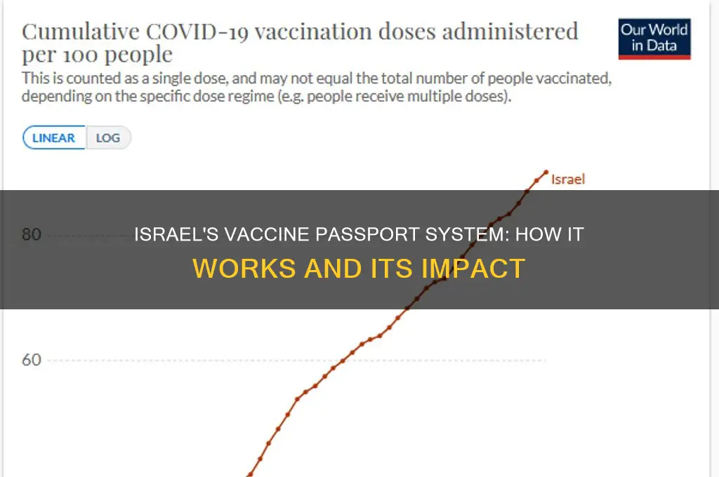 does israel have a vaccine passport