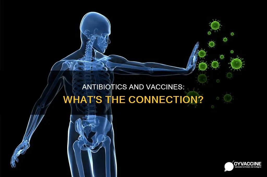 does it matter to have antibiotics before vaccines