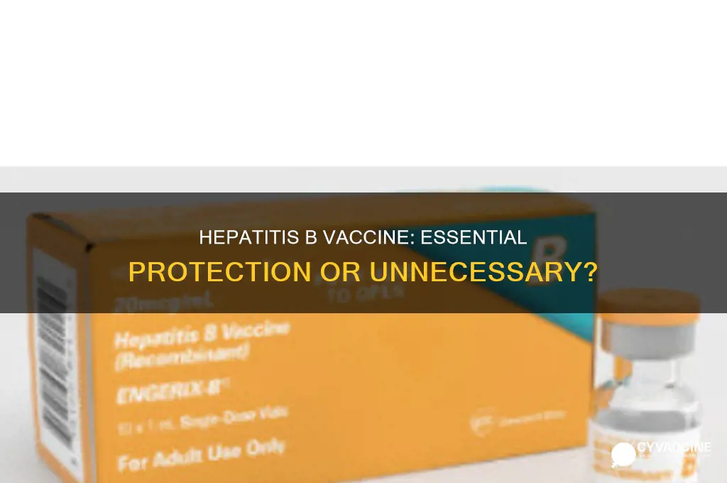 does it necessary to have a vaccine hepatitis b