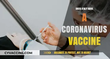 Italy's COVID-19 Vaccine Rollout: Progress, Challenges, and Accessibility