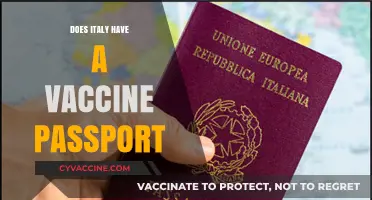 Italy's Vaccine Passport: What Travelers Need to Know Now