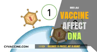 Does the J&J Vaccine Alter DNA? Separating Fact from Fiction