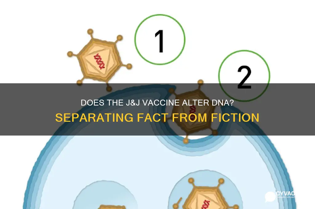 does j&j vaccine affect dna
