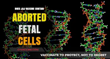 J&J Vaccine: Aborted Fetal Cells Used?